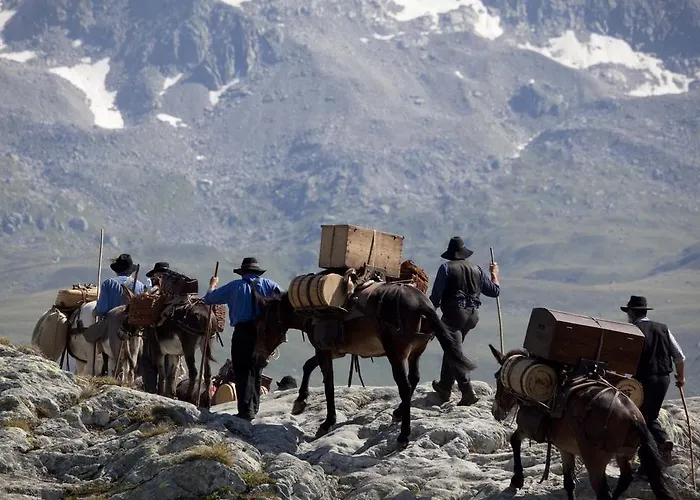 فندق غريمسيل 3*