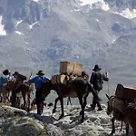 Szálloda Grimsel 3*