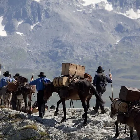 Otel Grimsel 3*